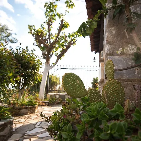 Apartman Paradeisos *