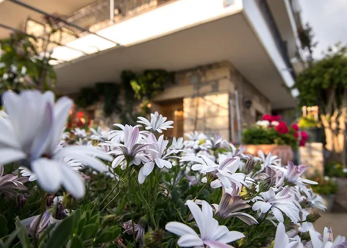 Paradeisos Kardhamili